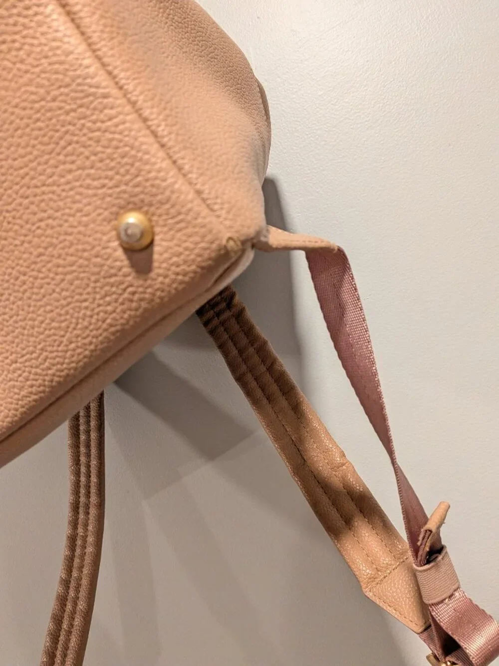 Freshly picked large diaper bag fig